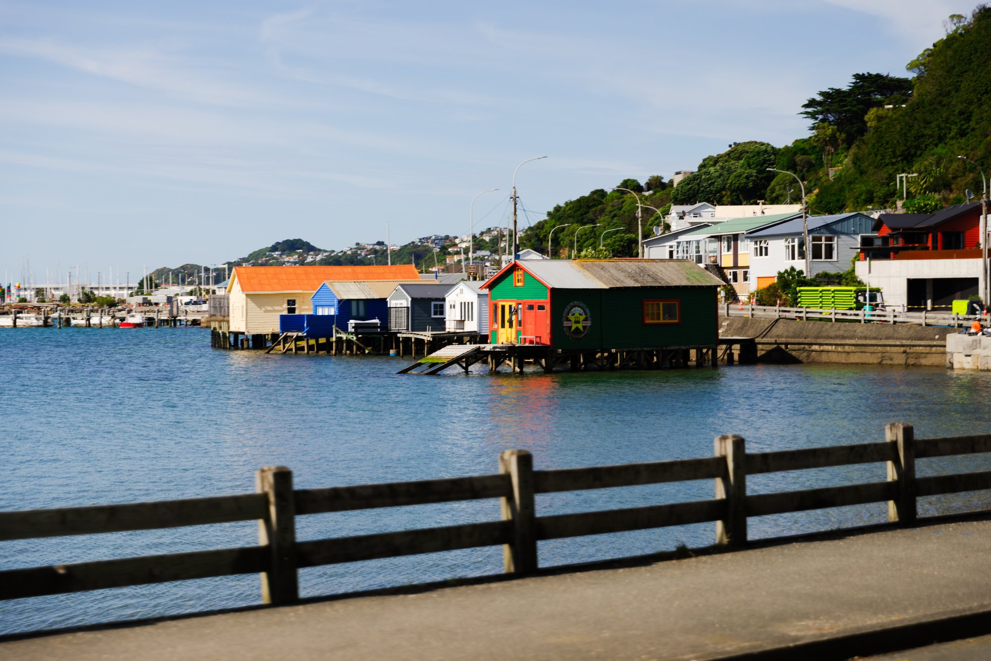 WNZ_Discover Wellington_28012025_Credit_WellingtonNZ_-2