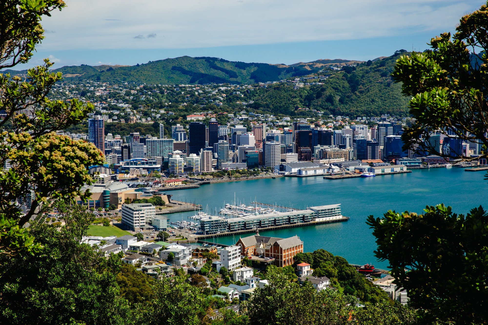 WNZ_Discover Wellington_28012025_Credit_WellingtonNZ_-56